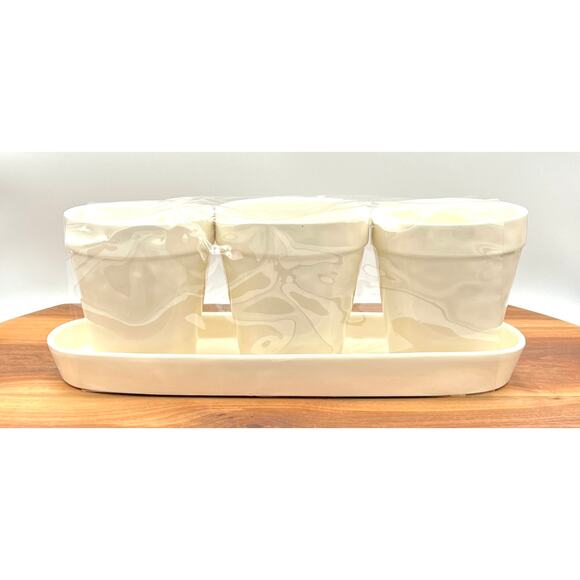 Rae Dunn Artisan Christmas Holiday Planter Gift Set 2017 Wish Peace Joy - Picture 7 of 8